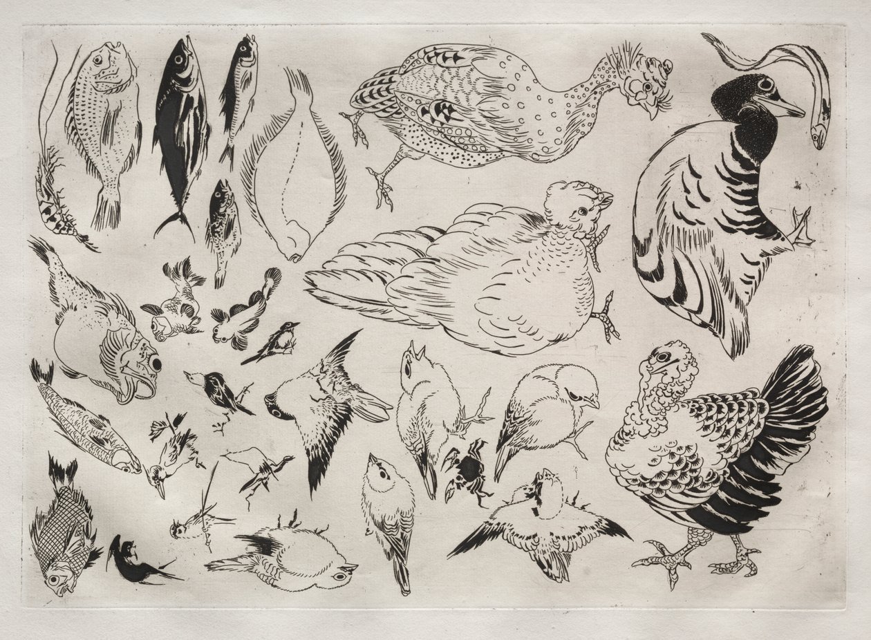 Middagsservering (Rousseau-servering): Ender, fisk osv. (nr. 12) av Felix Bracquemond