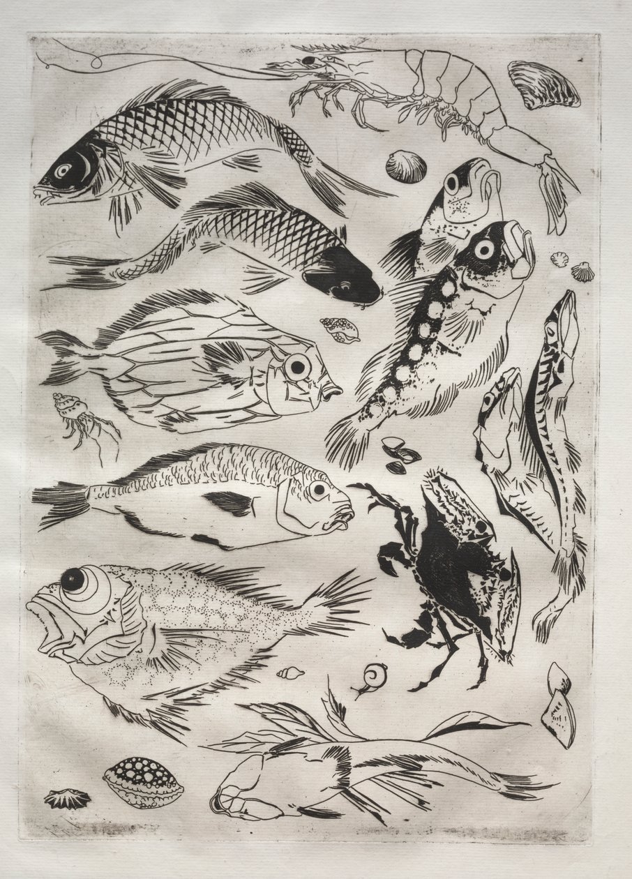 Middagsservering (Rousseau-servering): Fisk (nr. 24) av Felix Bracquemond