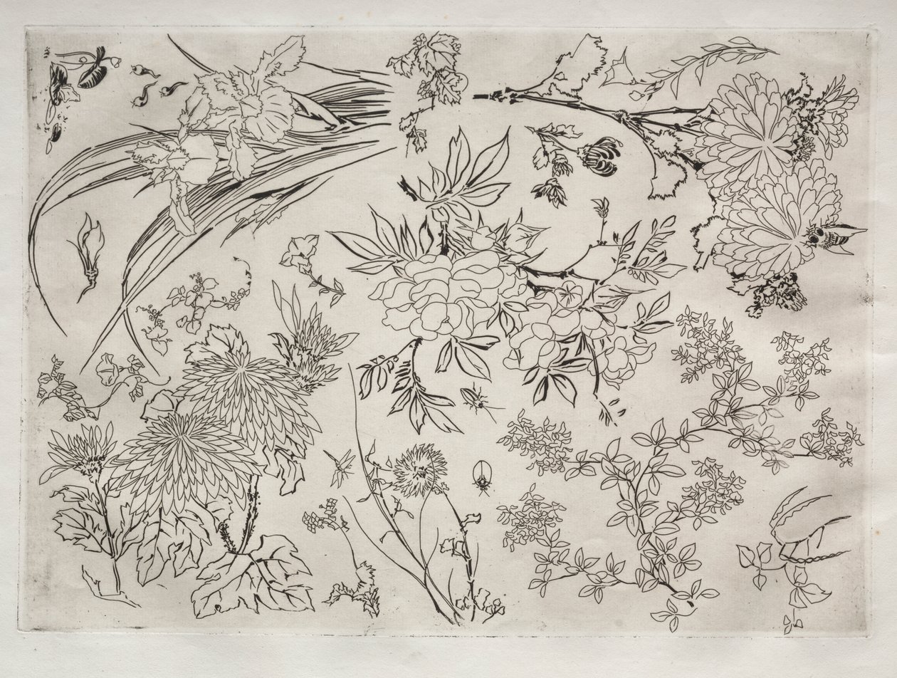 Middagsservering (Rousseau-servering): Blomster (nr. 23) av Felix Bracquemond