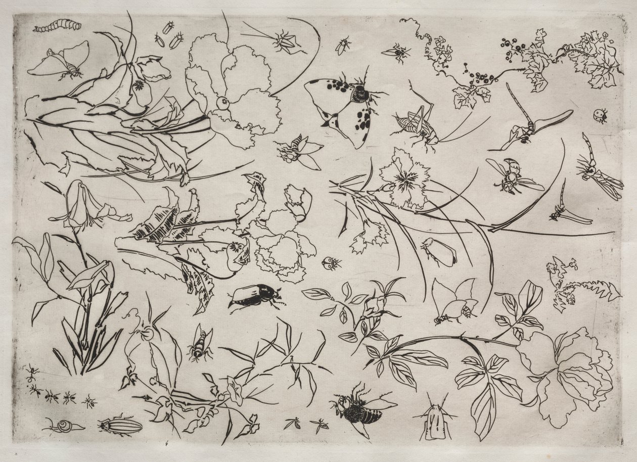 Middagsservering (Rousseau-tjenesten): Blomster og insekter (nr. 15) av Felix Bracquemond