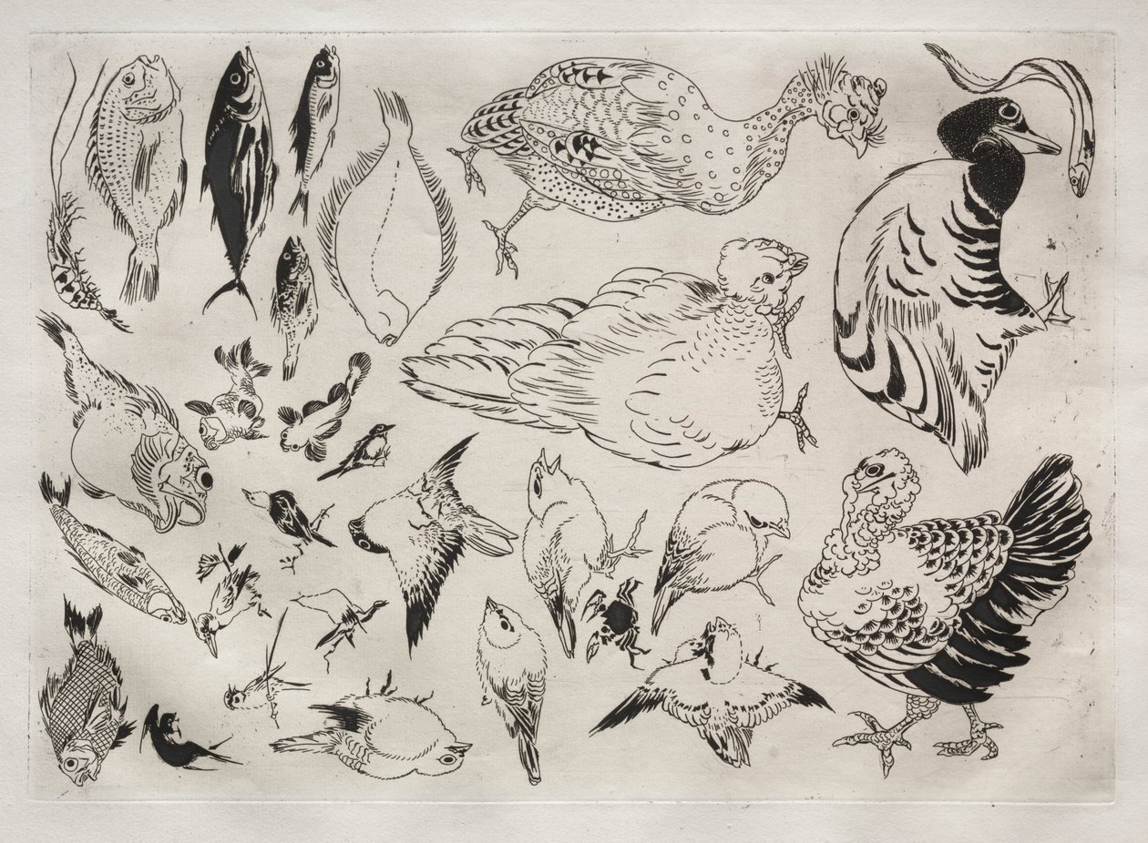 Middagsservering Rousseau-servering: Ender, fisk etc. nr. 12, 1866. av Felix Bracquemond