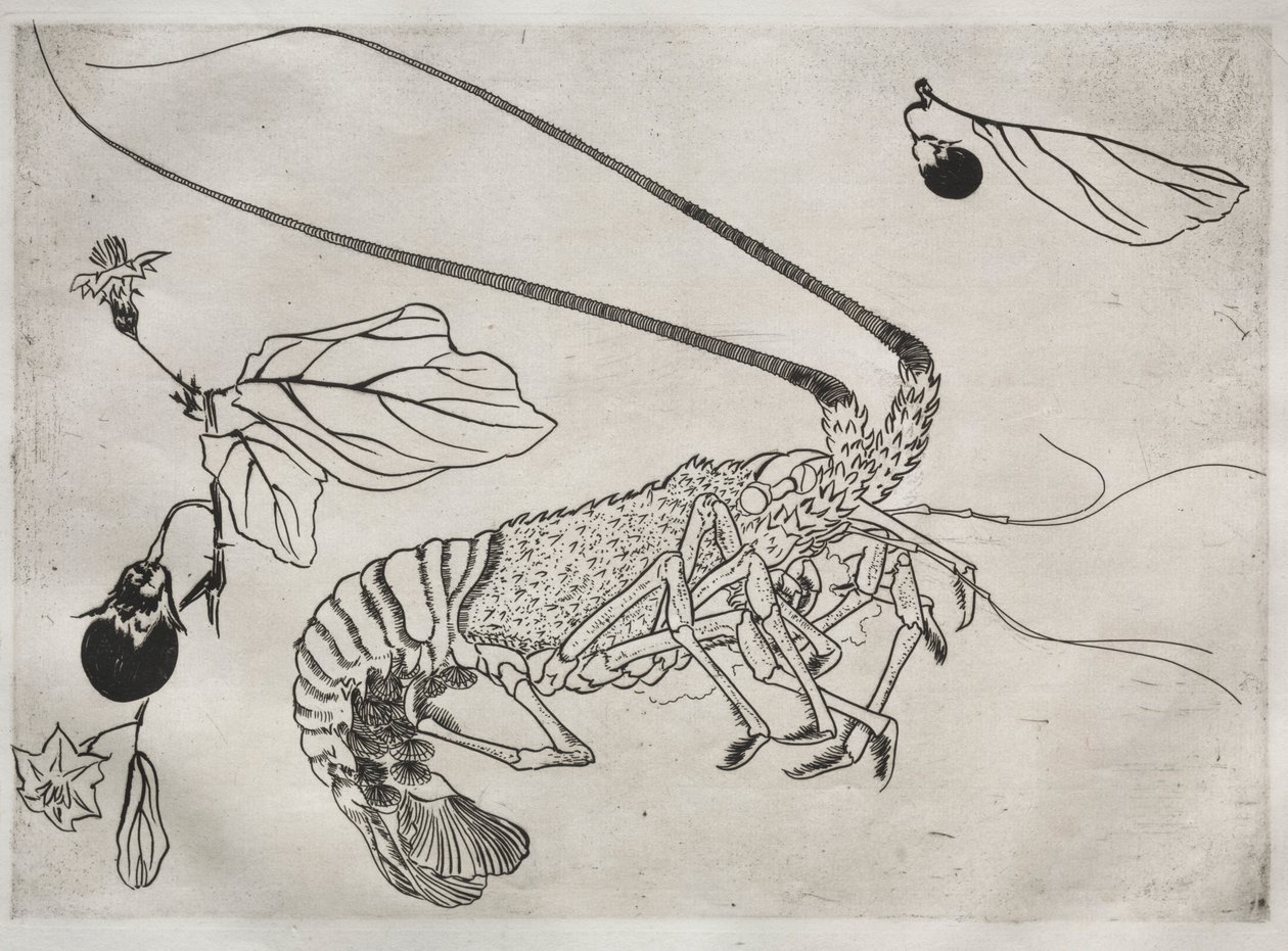 Middagsservering Rousseau-servering: Stor hummer med hevet antenne nr. 21, 1866. av Felix Bracquemond