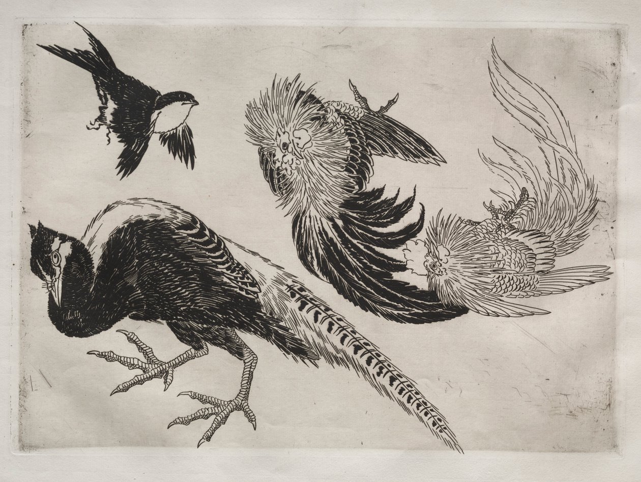 Middagsservering Rousseau-servering: Fasaner og fugl nr. 18, 1866. av Felix Bracquemond