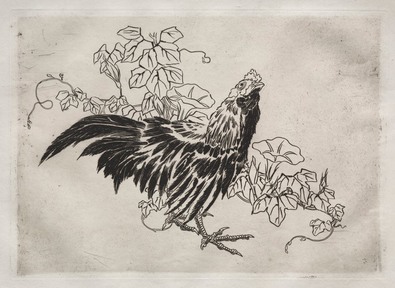 Middagsservering Rousseau-gudstjeneste: Hane og morgenfruer nr. 25, 1866. av Felix Bracquemond