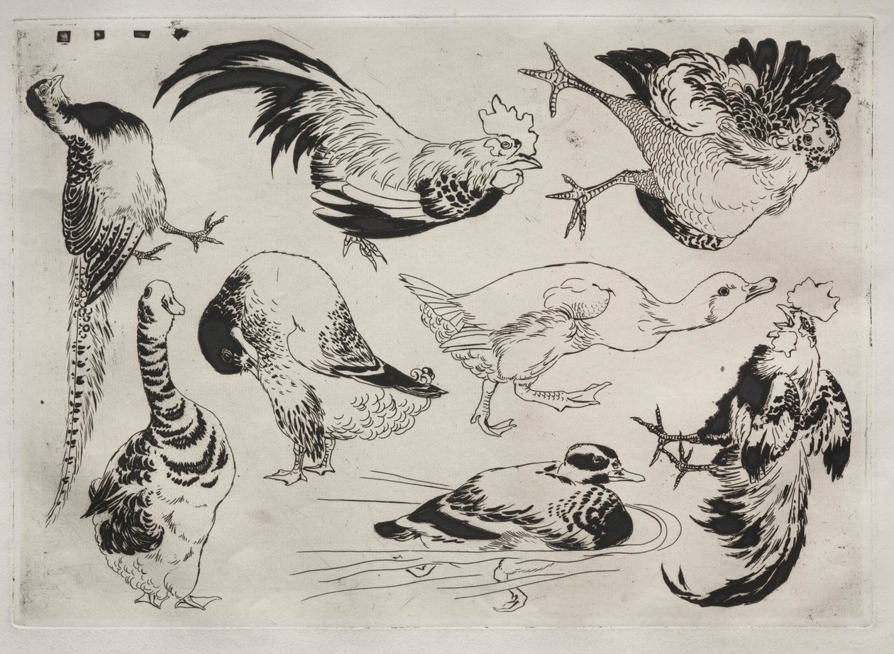 Middagsservering Rousseau-servering: Haner, ender o.l.nr. 13, 1866. av Felix Bracquemond