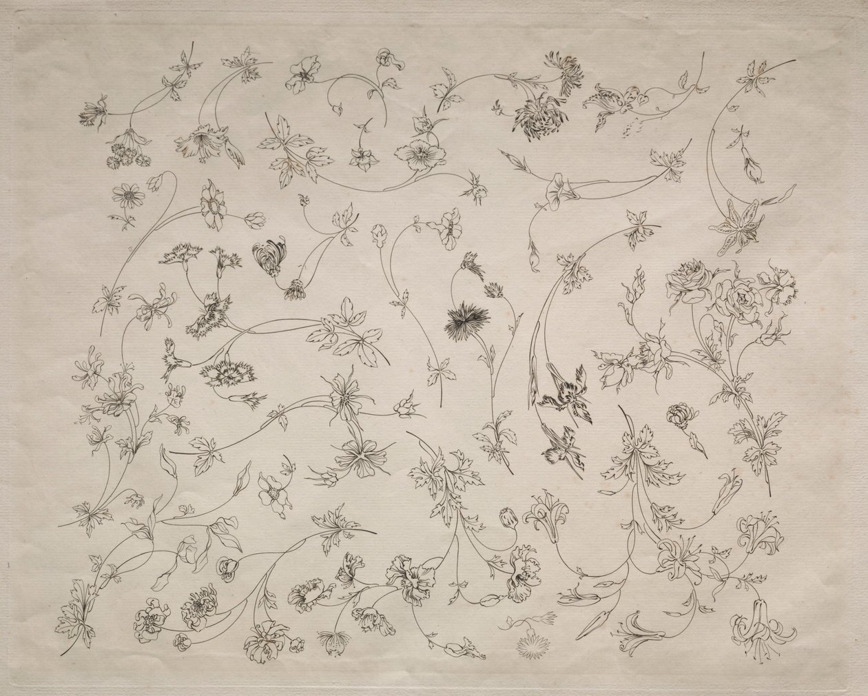 Blomsterdesign for tallerkener og border nr. 14, 1872. av Felix Bracquemond
