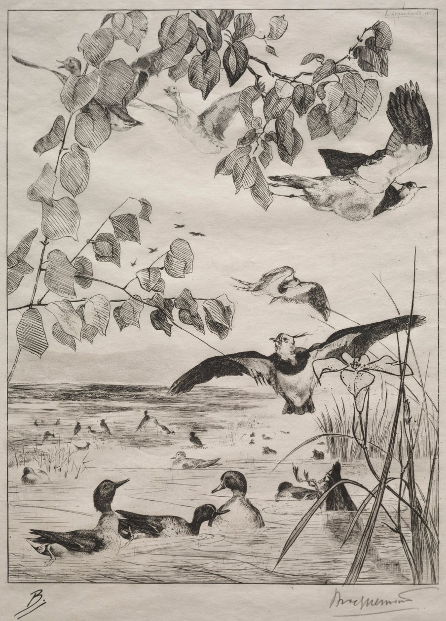 Vivi og krikk, 1862. av Felix Bracquemond