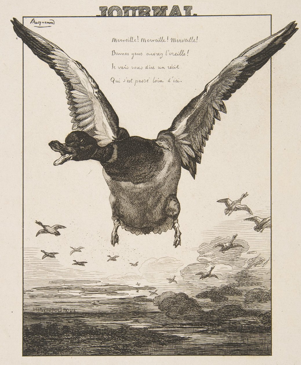 Anden, 1856. av Felix Bracquemond