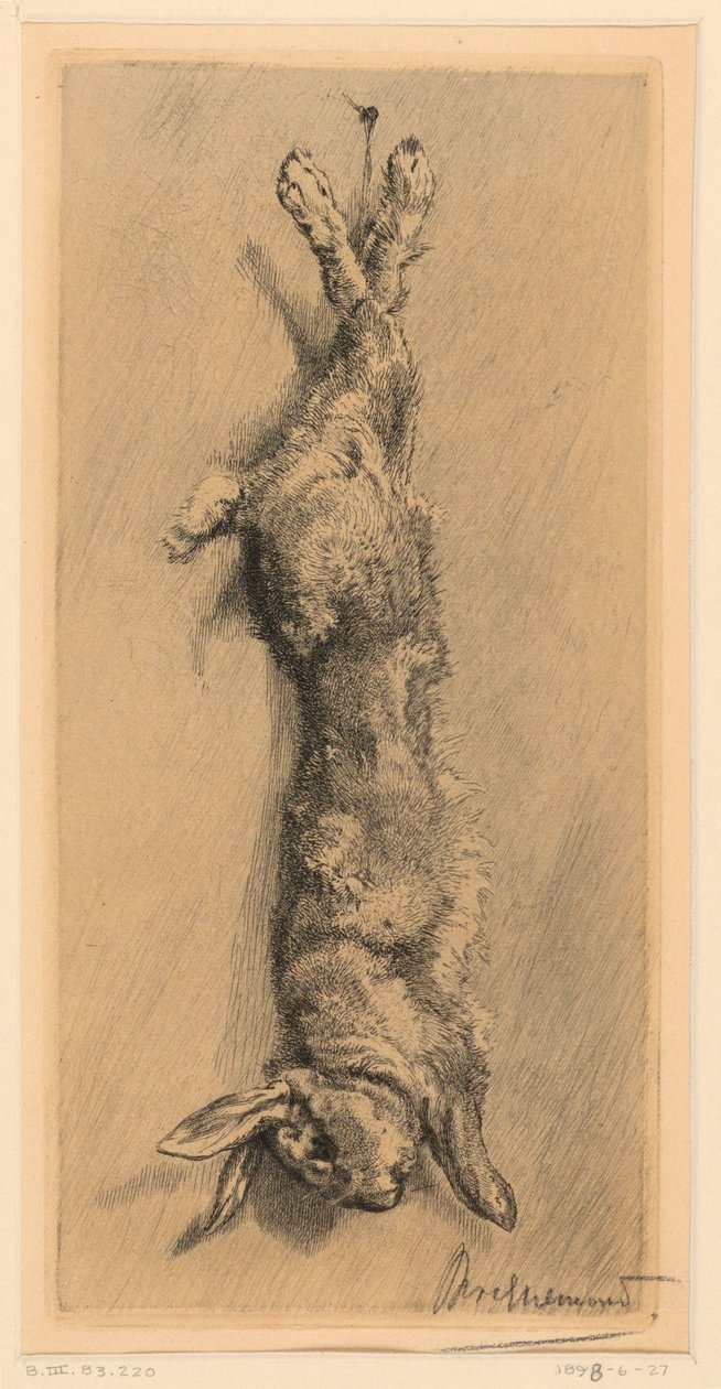 Garenne-kaninen av Felix Bracquemond