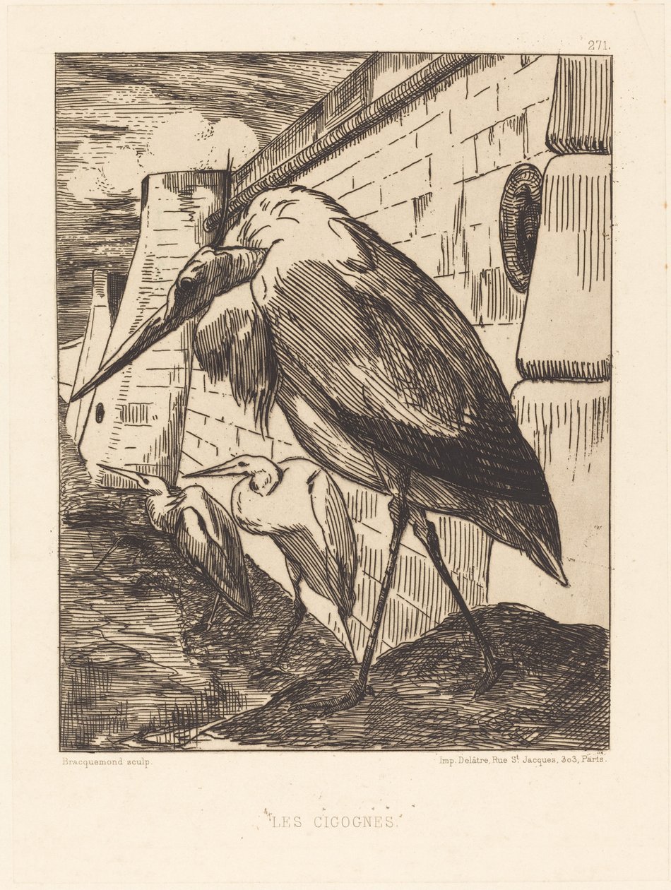 Les Cigognes (Storkene) av Felix Bracquemond