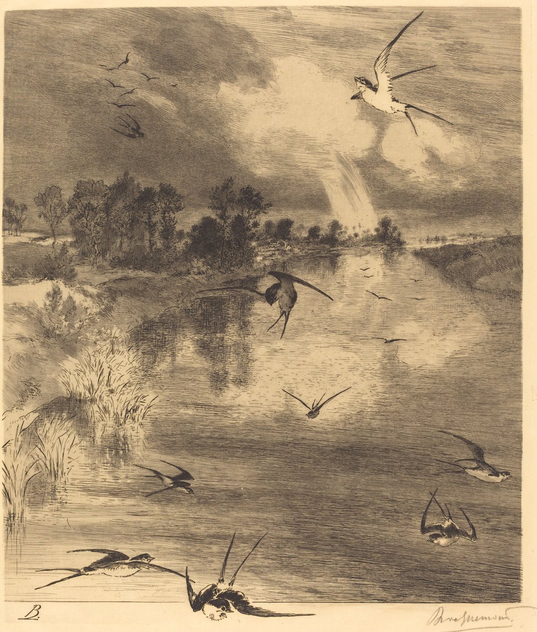 Les Hirondelles (Svalene) av Felix Bracquemond