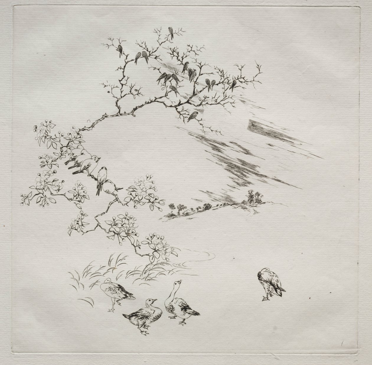 Parisergudstjeneste (Haviland-tjenesten): Natt (nr. 7) av Felix Bracquemond