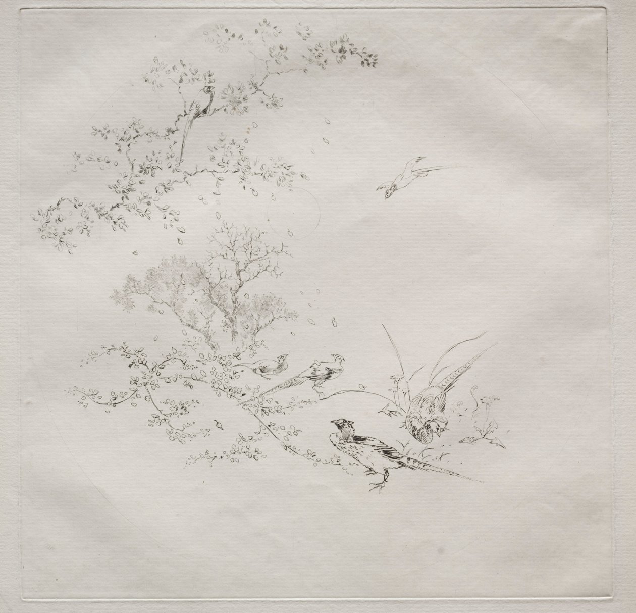 Parisian Service Haviland service: Tåke nr. 1, 1875. av Felix Bracquemond