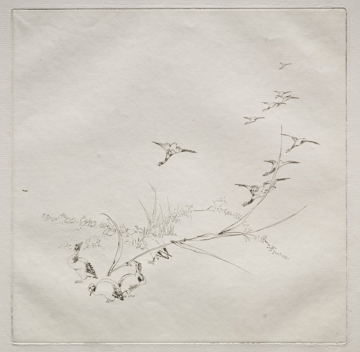 Parisian Service Haviland service: Rett i solen no. 9, 1875. av Felix Bracquemond