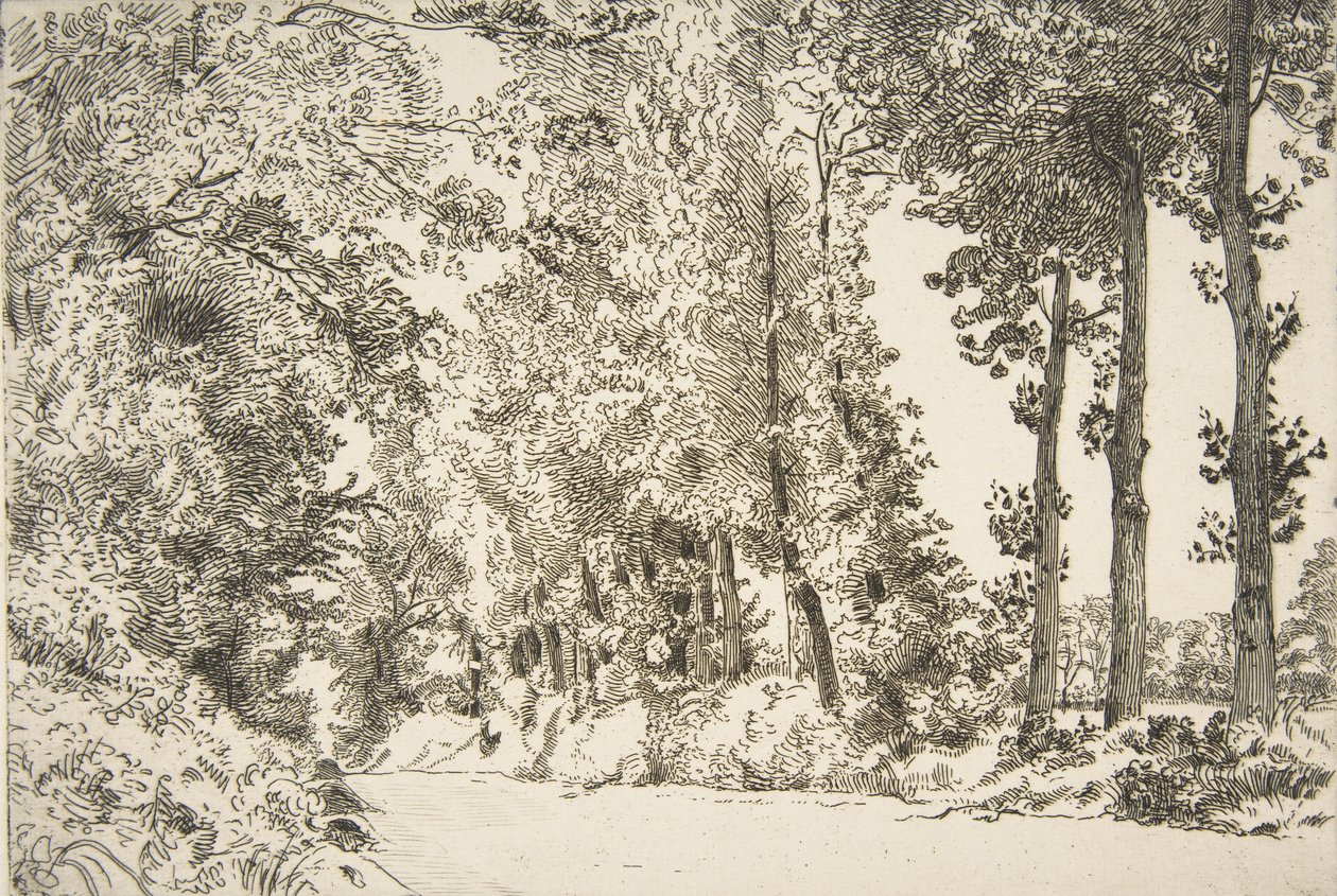 Rue des Bruyères, i Sèvres, 1868. av Felix Bracquemond