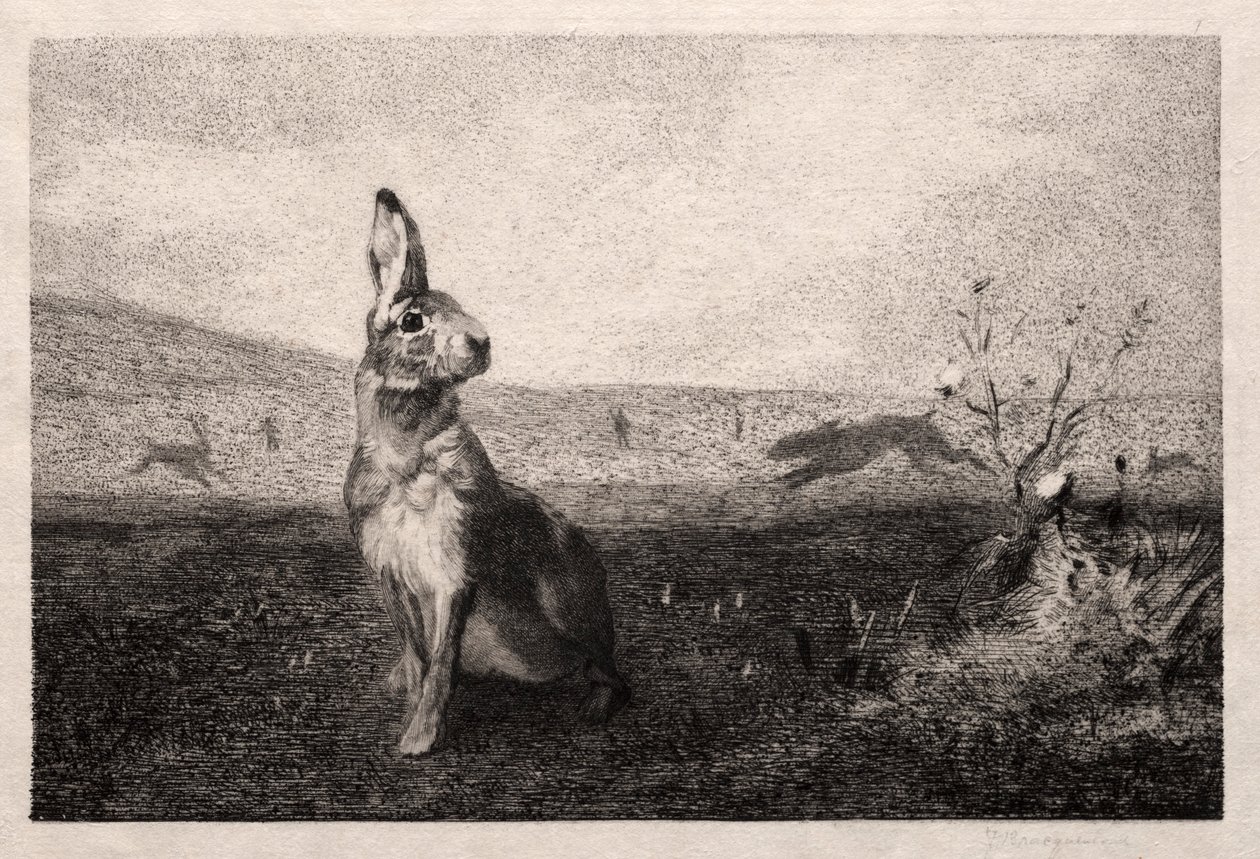Haren etter A. de Balleroy, 1865. av Felix Bracquemond