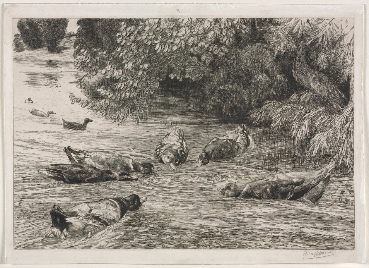 Spørsmålstegnet av Felix Bracquemond