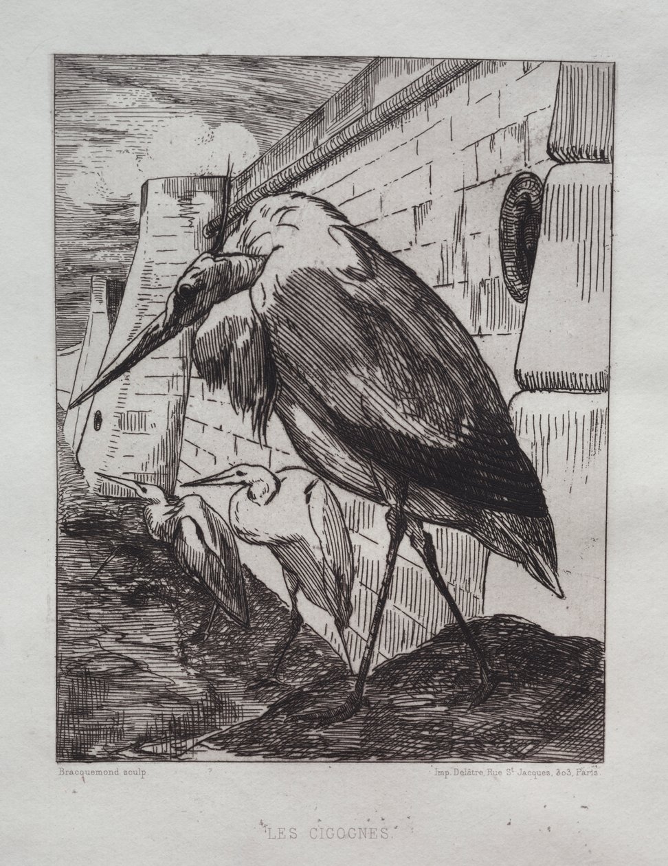 Storkene av Felix Bracquemond