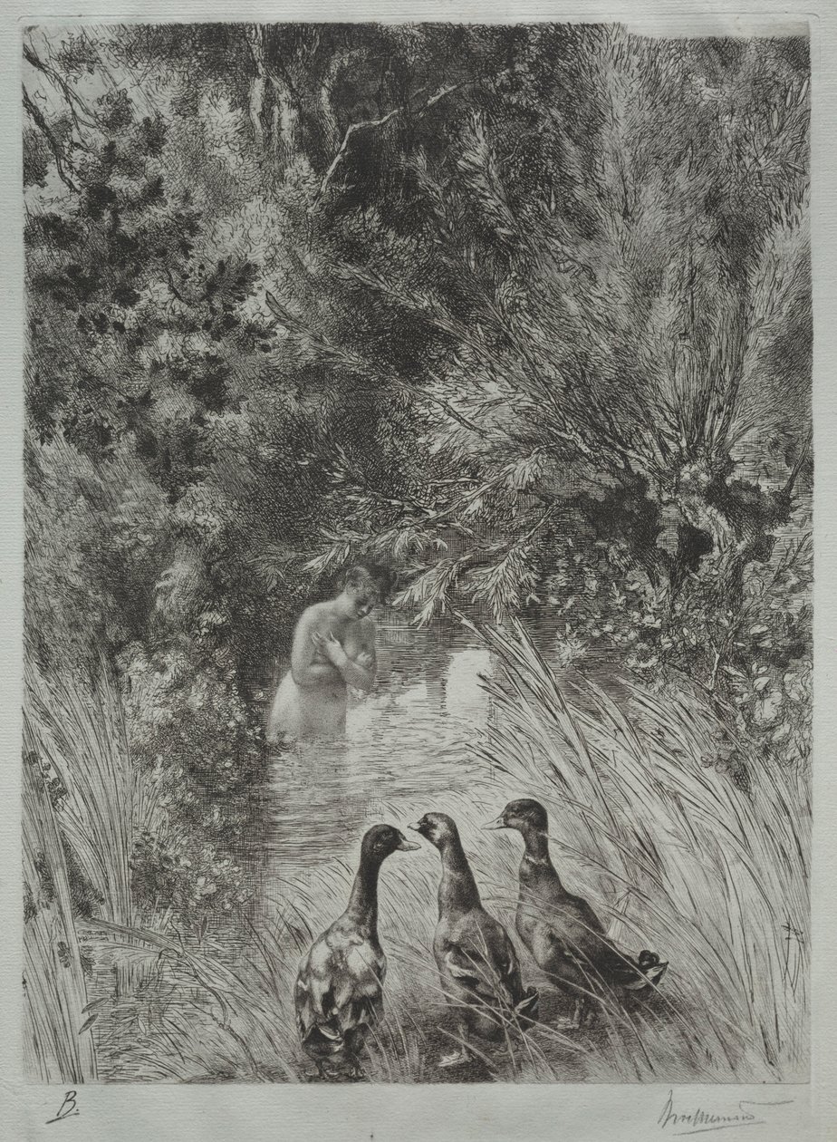 The Surprised Ducks. av Felix Bracquemond