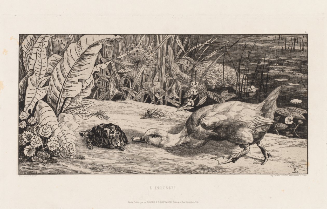  av Felix Bracquemond