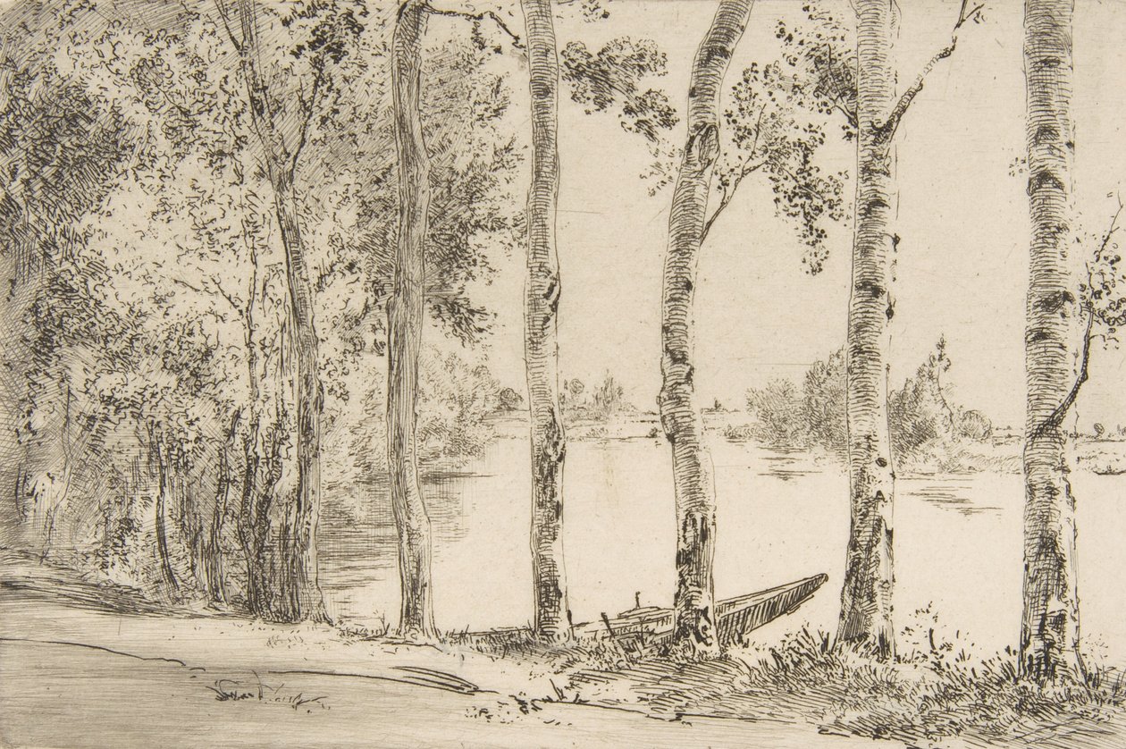 Osp ved Seinen, ca. 1884. av Felix Bracquemond