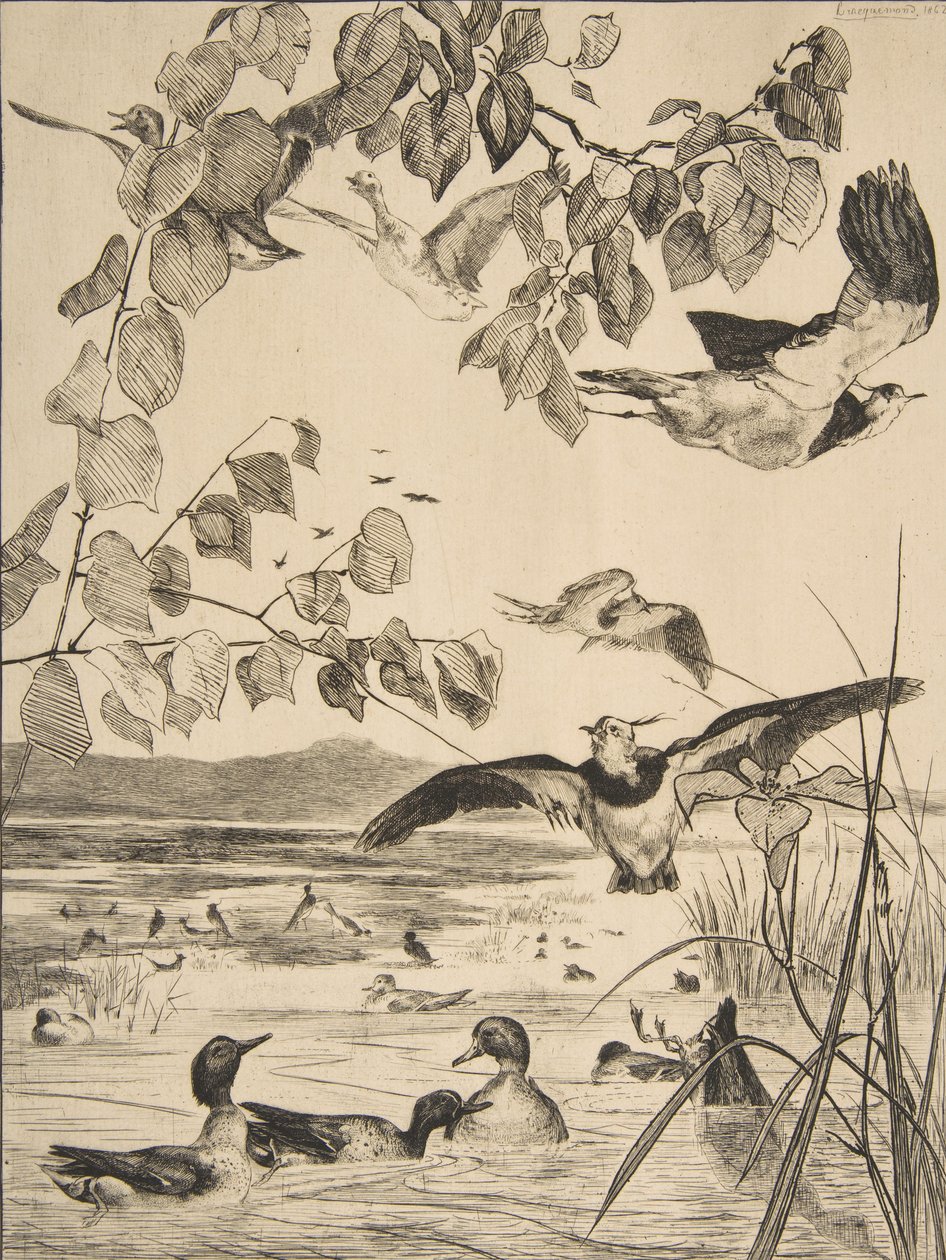 Vipper og Sarcelles, 1862. av Felix Bracquemond