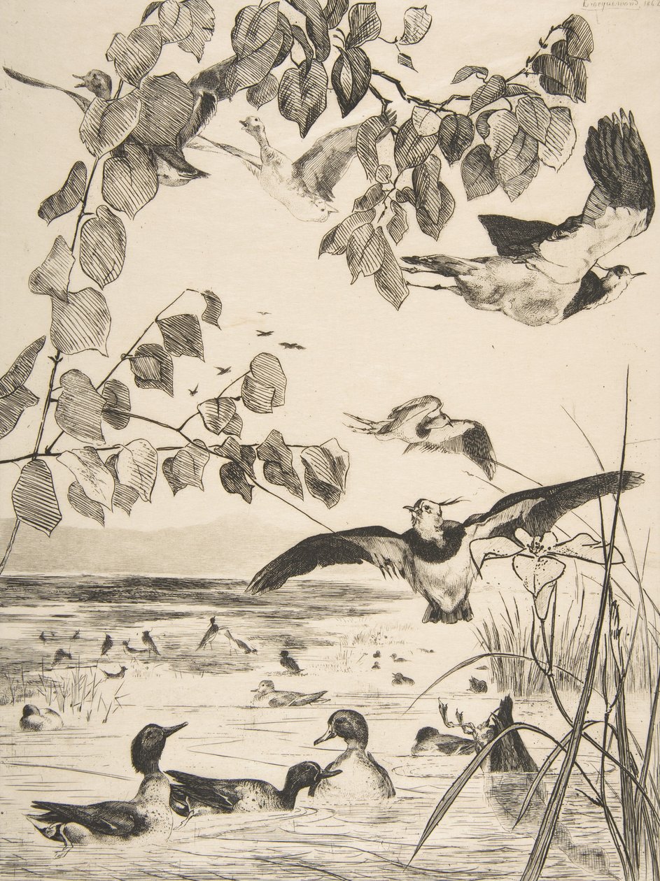 Vipper og Sarcelles, 1862. av Felix Bracquemond