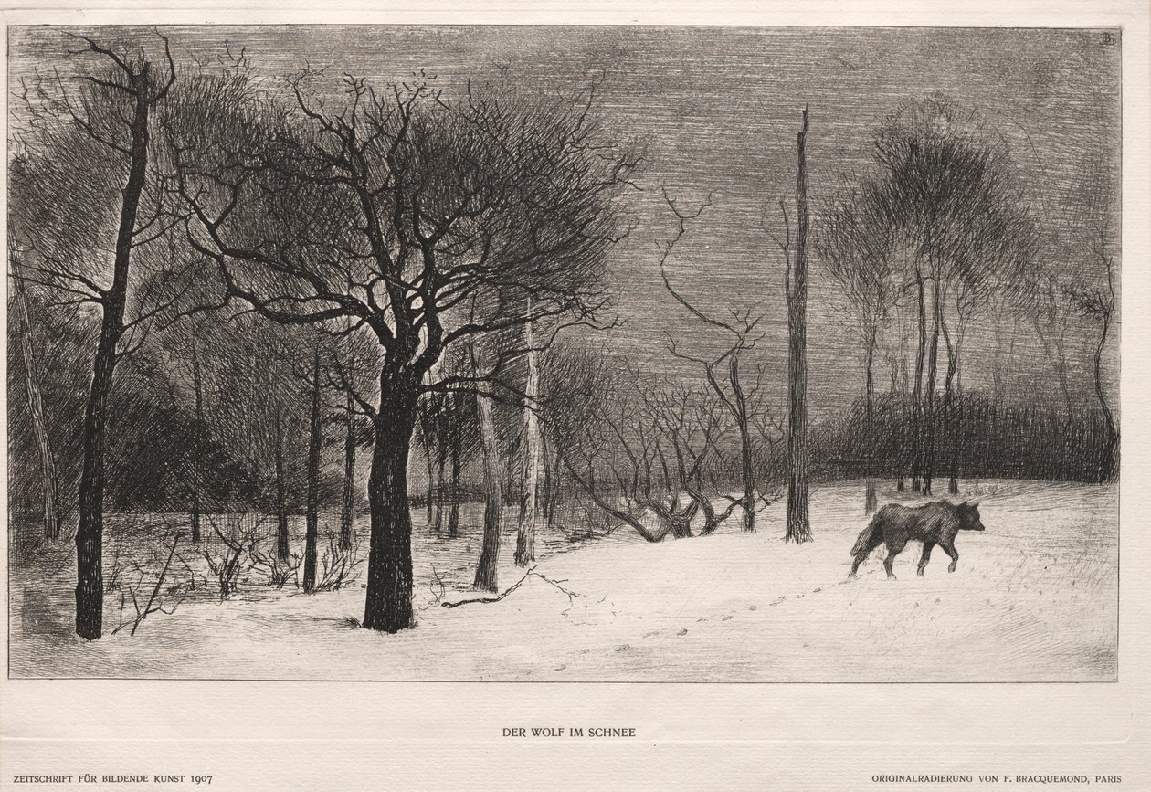 Vinter av Felix Bracquemond