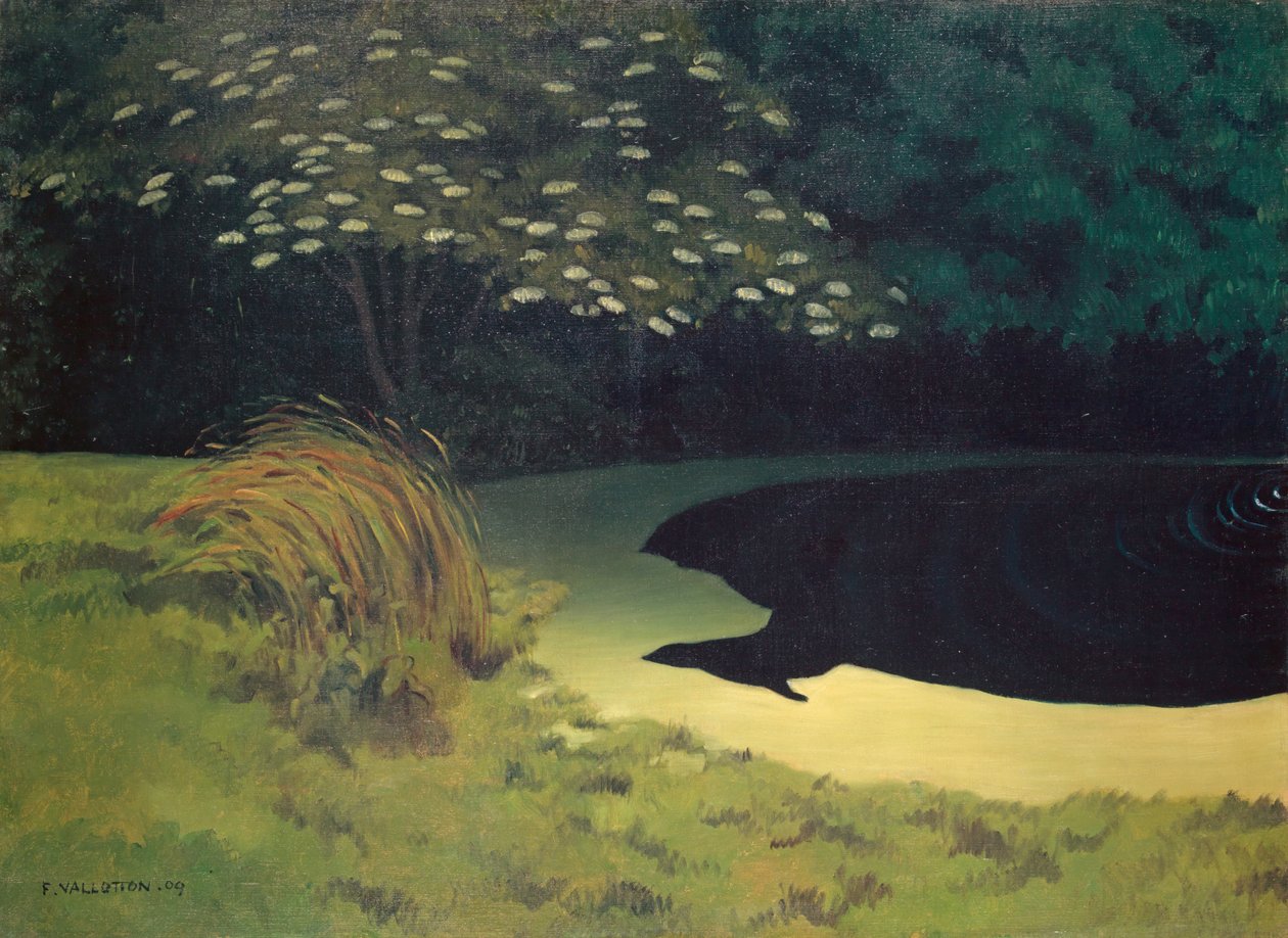 Dammen av Felix Edouard Vallotton