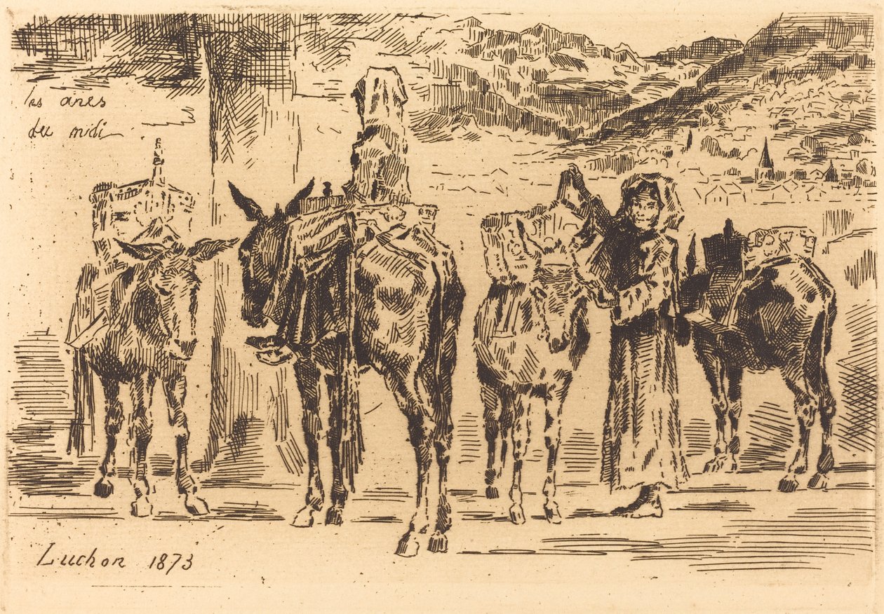 Eselblader fra Midi av Felix Hilaire Buhot