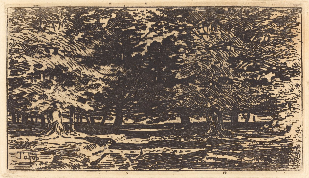 skog av Felix Hilaire Buhot