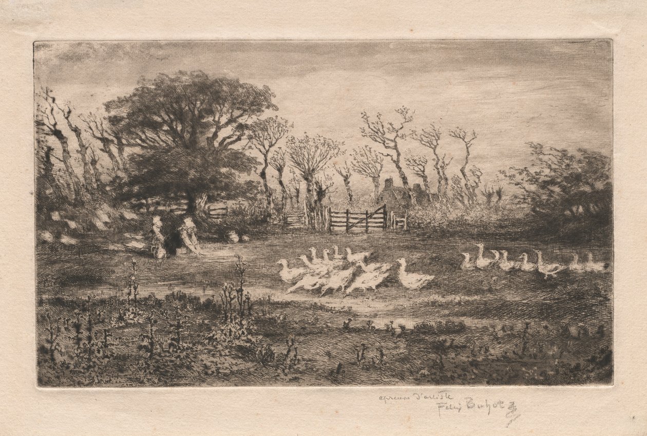 Gjess, 1887. av Felix Hilaire Buhot