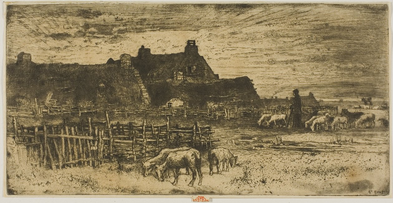 Sauefold ved solnedgang av Felix Hilaire Buhot