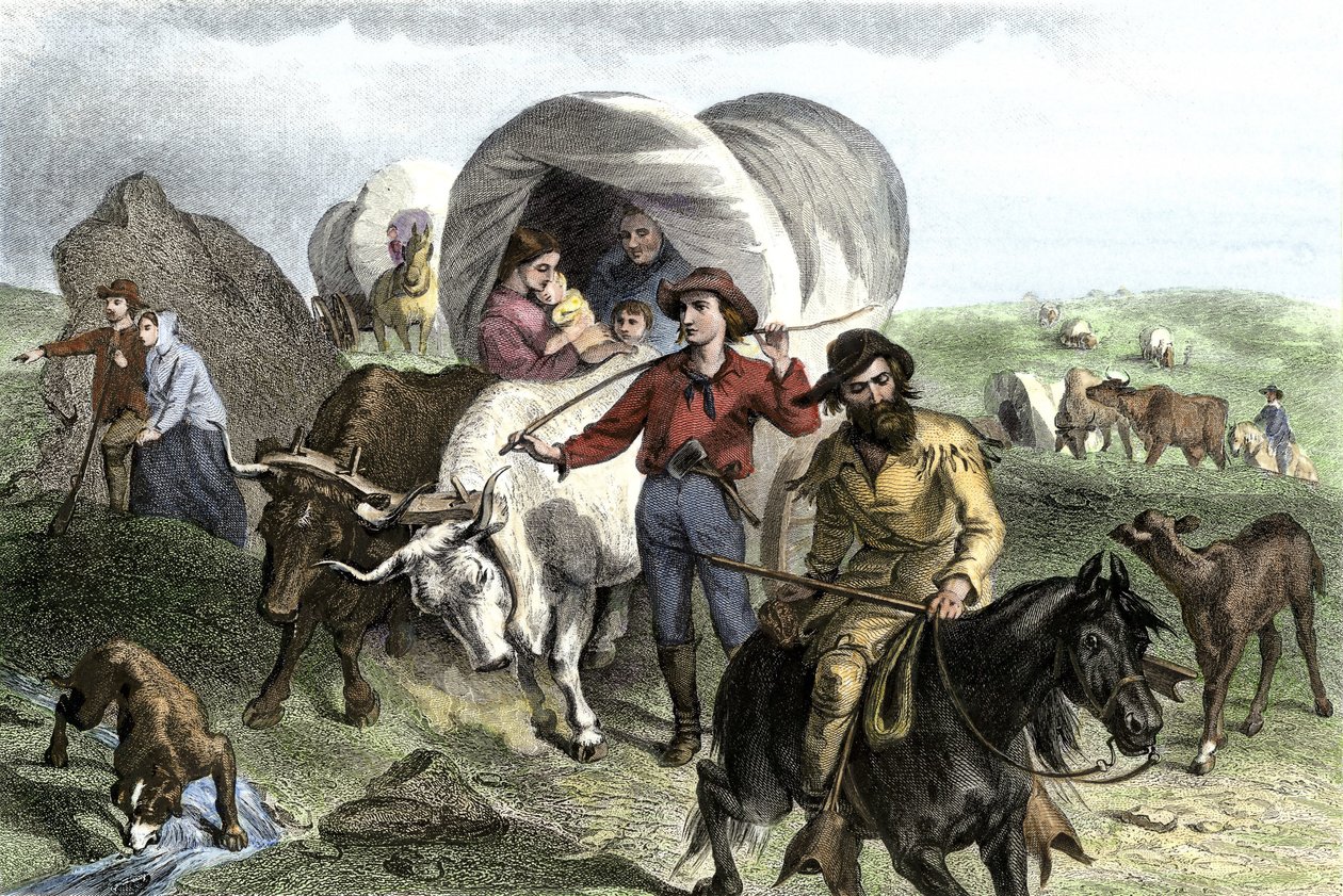Historien om de vestlige erobrede nybyggerne: Amerikanske pionerer. Reiser med flere familier som flittig krysser slettene i USA, tegnet av okser. Fargerik gravering fra 1800-tallet. av Felix Octavius Carr Darley