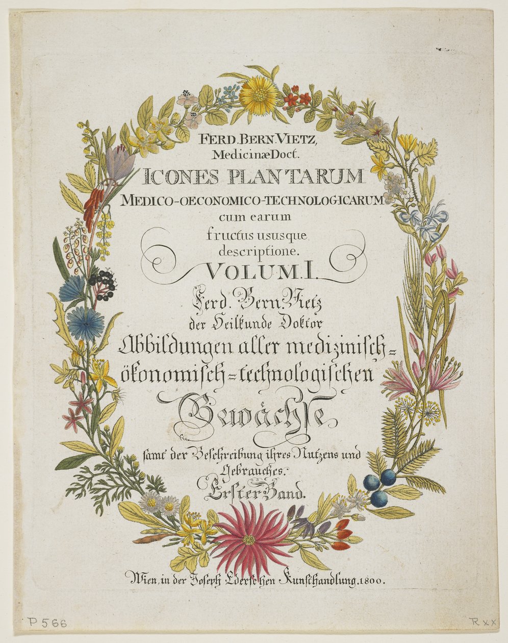 Frontispice og tittelside, vol. I, fra Icons of Plants Medico-Economic-Technology with their Fruit and Uses Description, 1800 (håndfarget gravering) av Ferdinand Bernhard Vietz