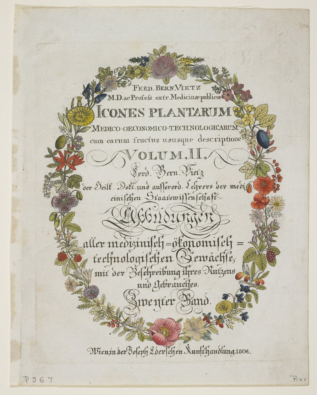 Frontispice og tittelside, vol. II, fra Icons of Plants from Medico-Economic-Technology with their fruit and use description, 1804 (håndfarget gravering) av Ferdinand Bernhard Vietz