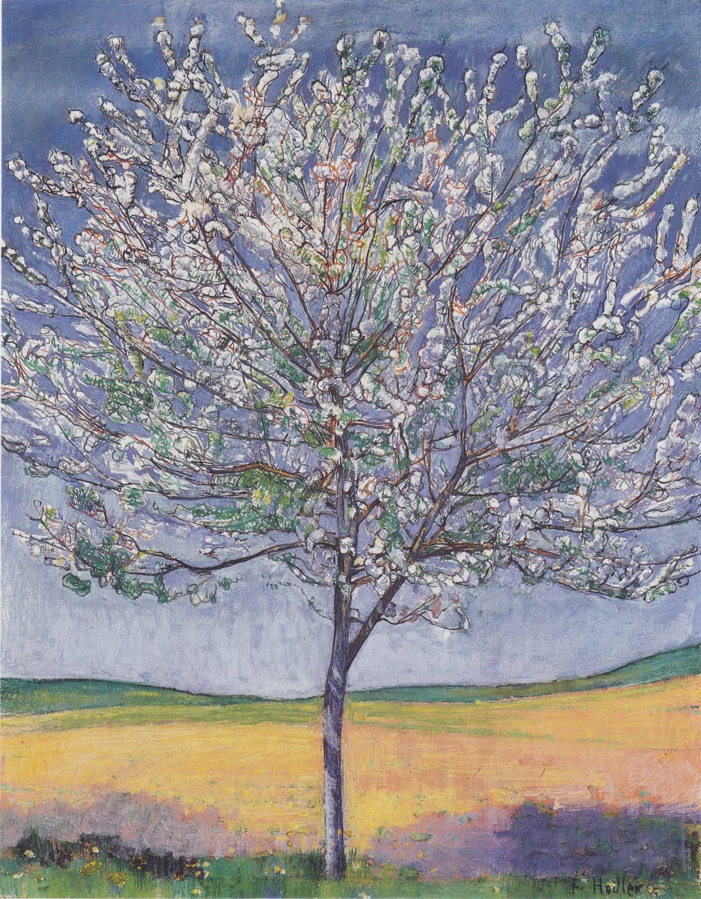 Blomstrende kirsebærtre av Ferdinand Hodler