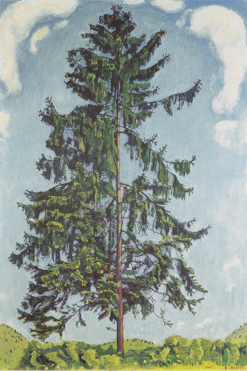 Fir at Chamby2 av Ferdinand Hodler
