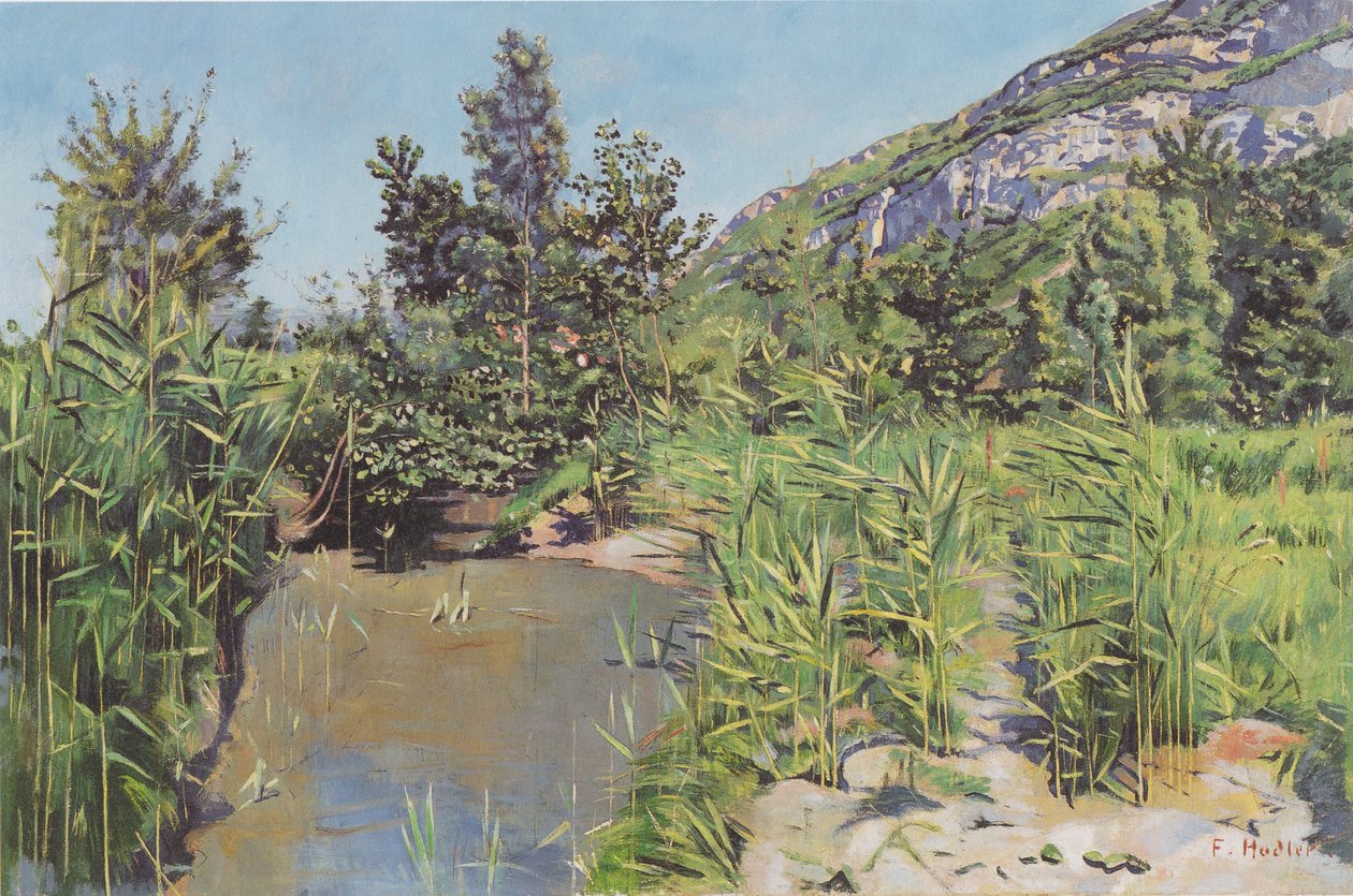 Damlandskap nær Veyrier av Ferdinand Hodler