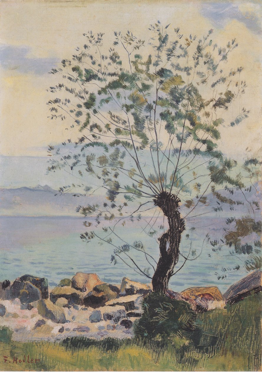 Weidebaum am See av Ferdinand Hodler