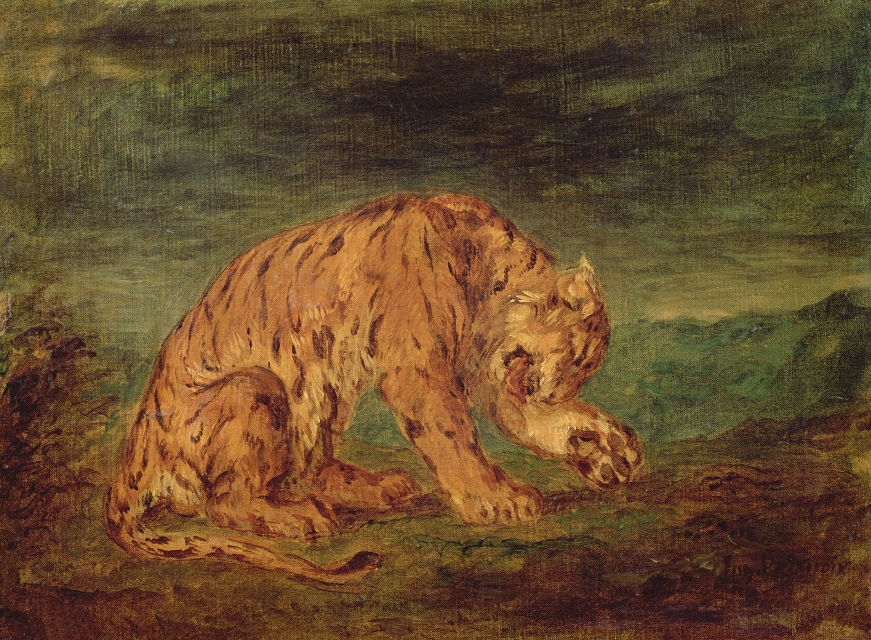 Tiger slikker en pote av Ferdinand Victor Eugene Delacroix
