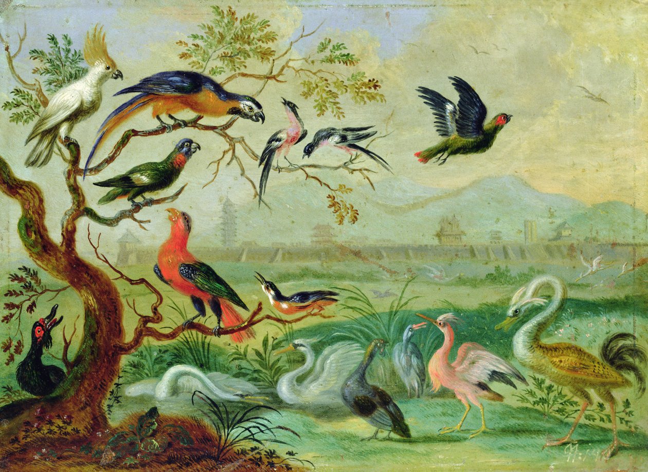 Fugler fra de fire kontinentene i et landskap med utsikt over Peking i bakgrunnen (olje på kobber) av Ferdinand van Kessel
