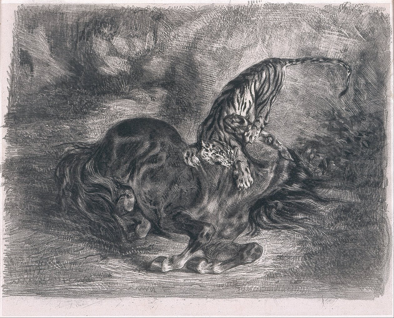 Wild Horse Felt av en tiger av Ferdinand Victor Eugene Delacroix