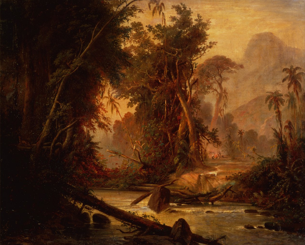 En tropisk skog i Venezuela (olje på lerret) av Ferdinand Bellermann