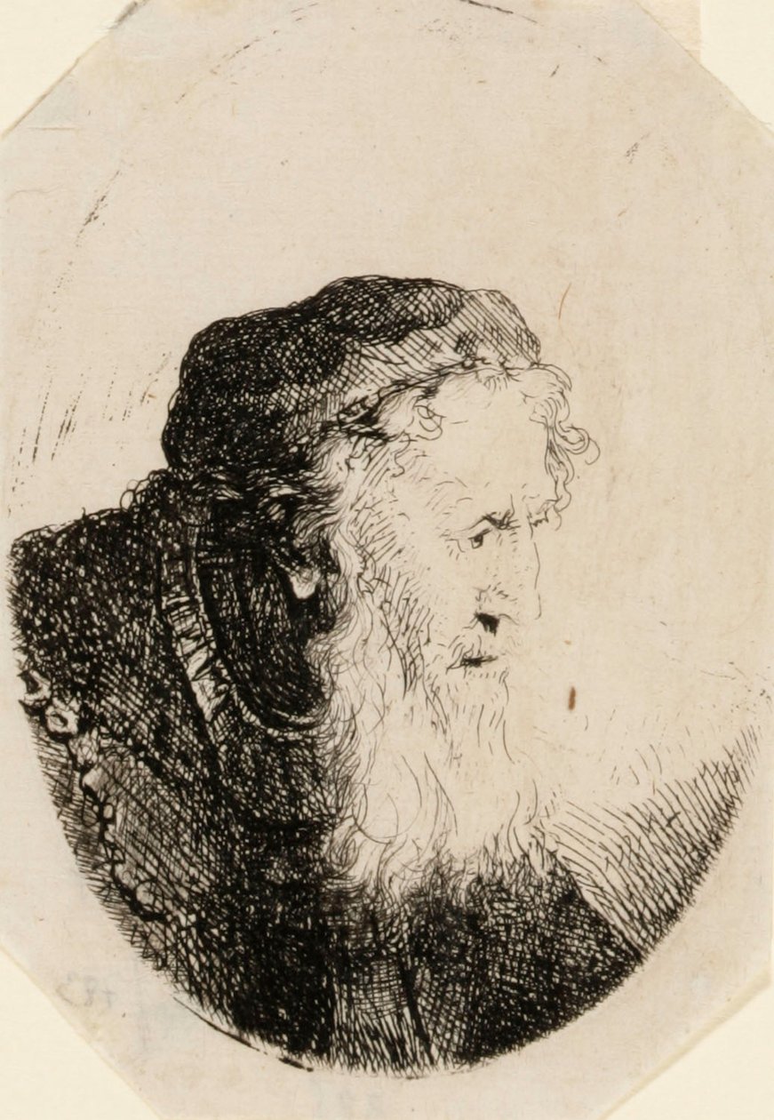 Gammel mann med bølgende skjegg av Ferdinand Bol