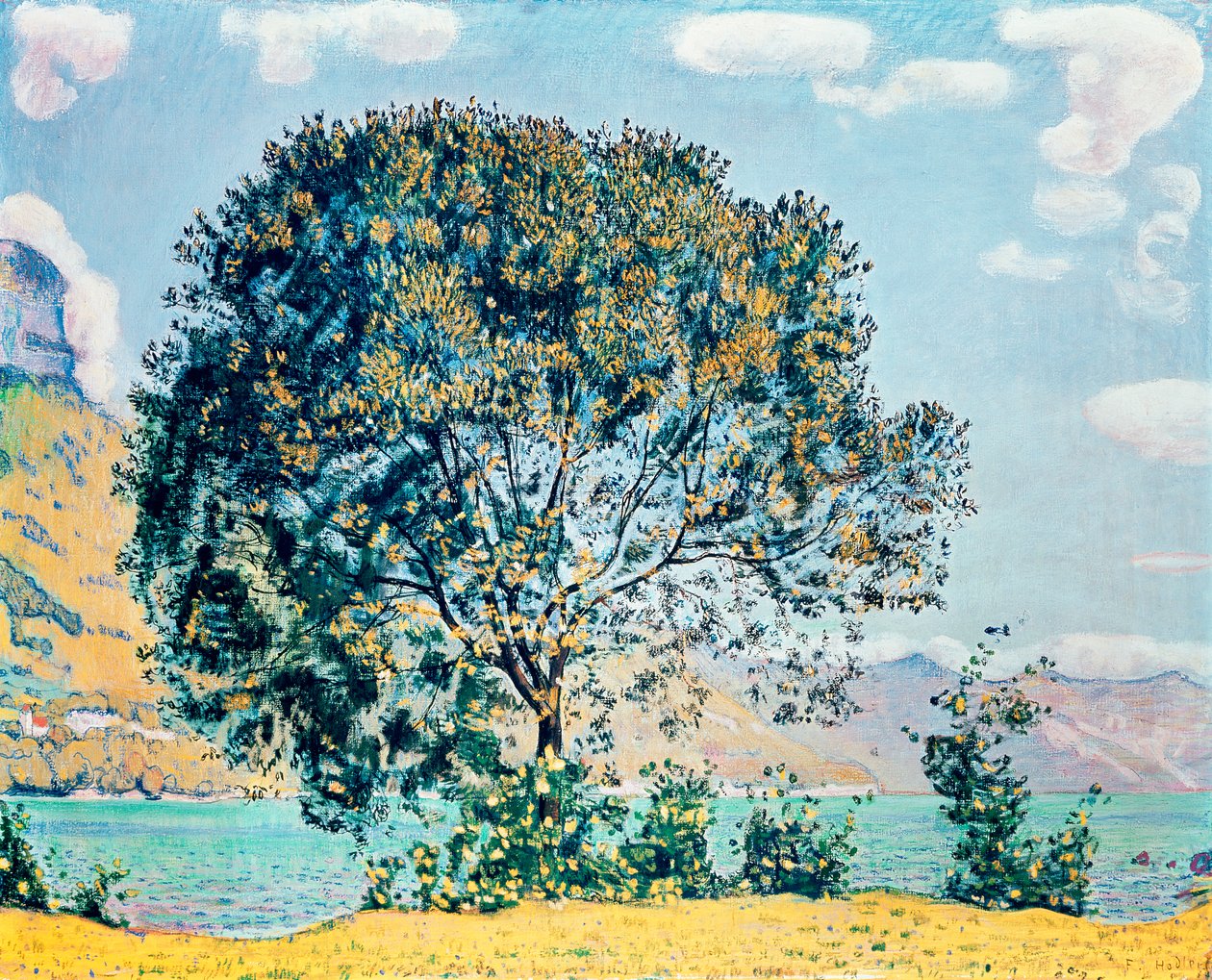 Ukjent bilde av Ferdinand Hodler