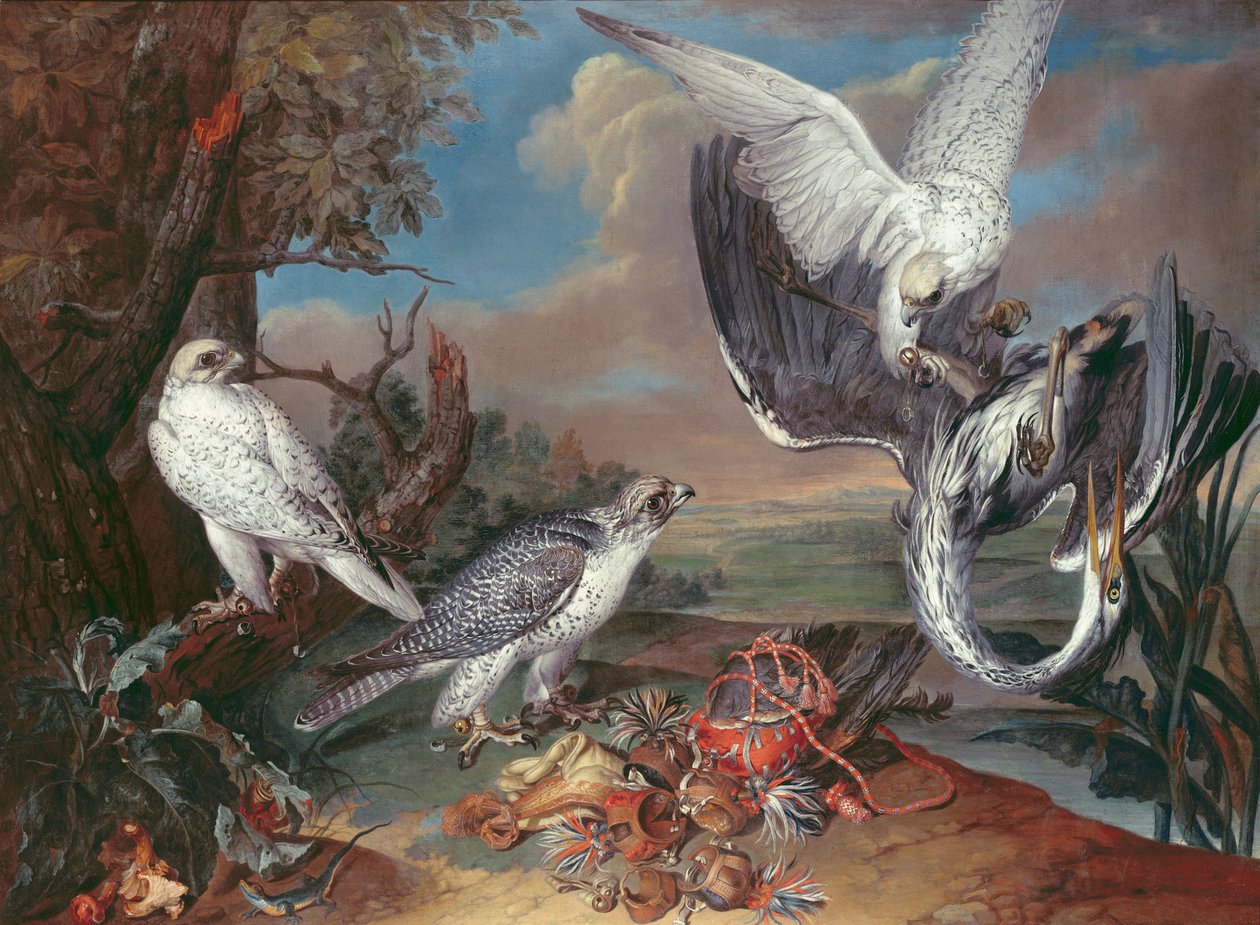 Grønlands Cyr Falcons av Ferdinand Phillip de Hamilton