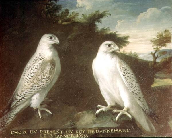 Et par Gyrfalcons i et landskap av Ferdinand Phillip de Hamilton