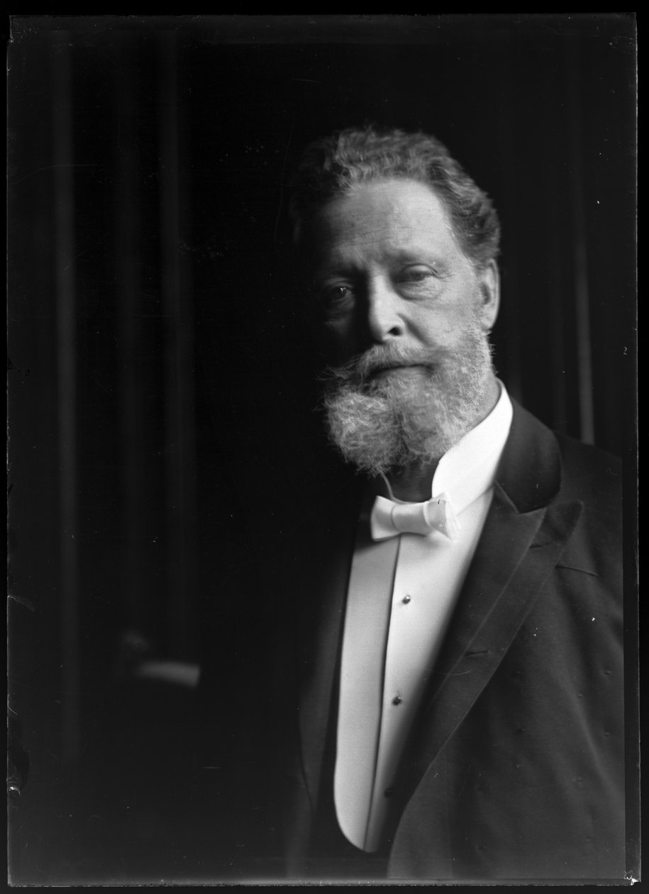  av Ferdinand Schmutzer
