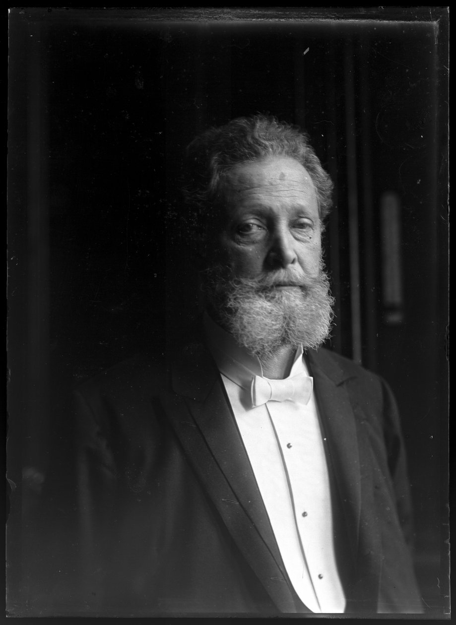  av Ferdinand Schmutzer